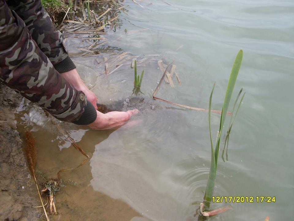 icn carp - 14629311401379633435776695692214n.jpg